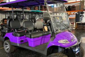 Golf Carts for Sale in Pitman